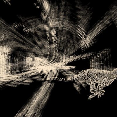 Ausstellung: Alex Porter − «Danach kommt nur Fiktion». Haus am See, Unterägeri, Kultur Ägeri 2026